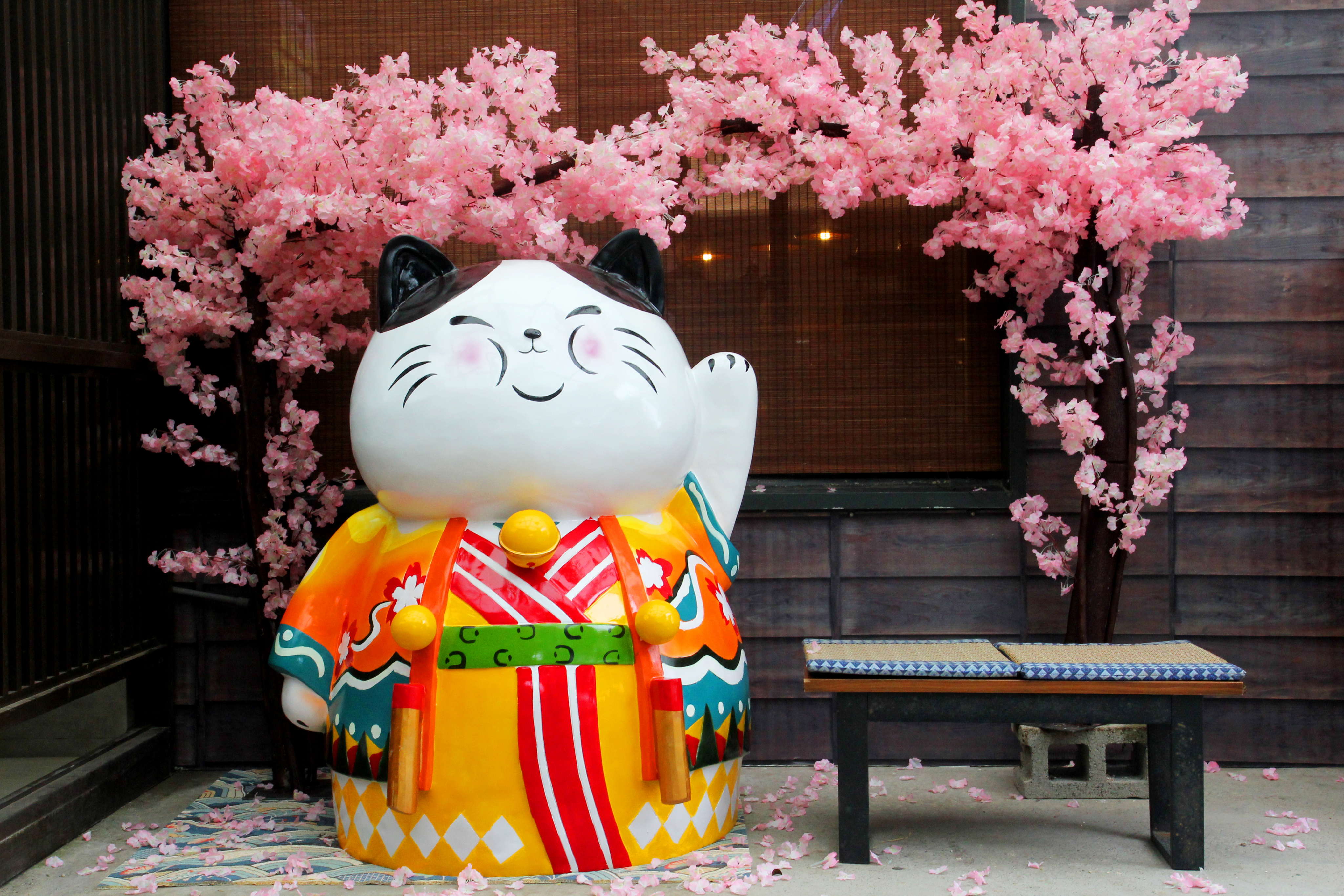 幸福貓圖片